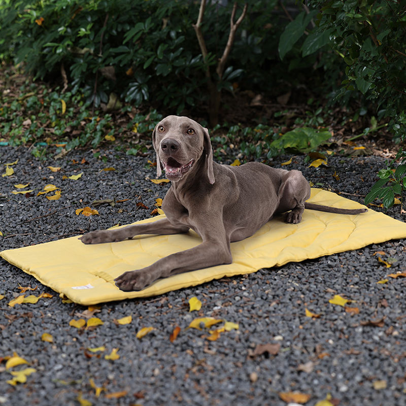 Tappetino per animali domestic - Outdoor Camping Dog Kennel recensione e prezzo