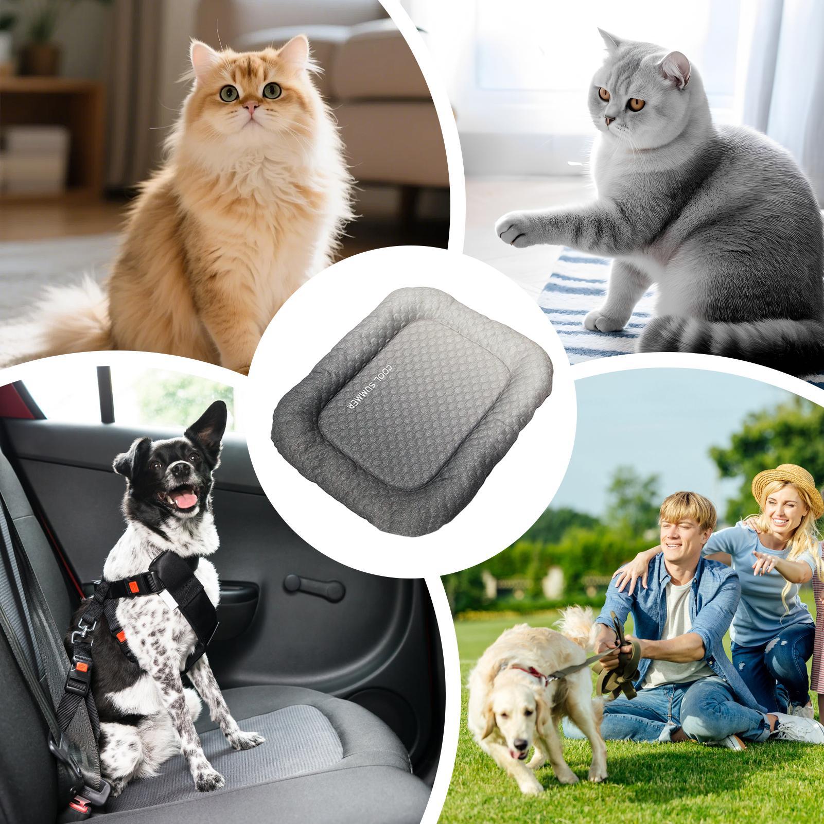 Tappetino Refrigerante Portati - Outdoor Camping Dog Kennel recensione e prezzo