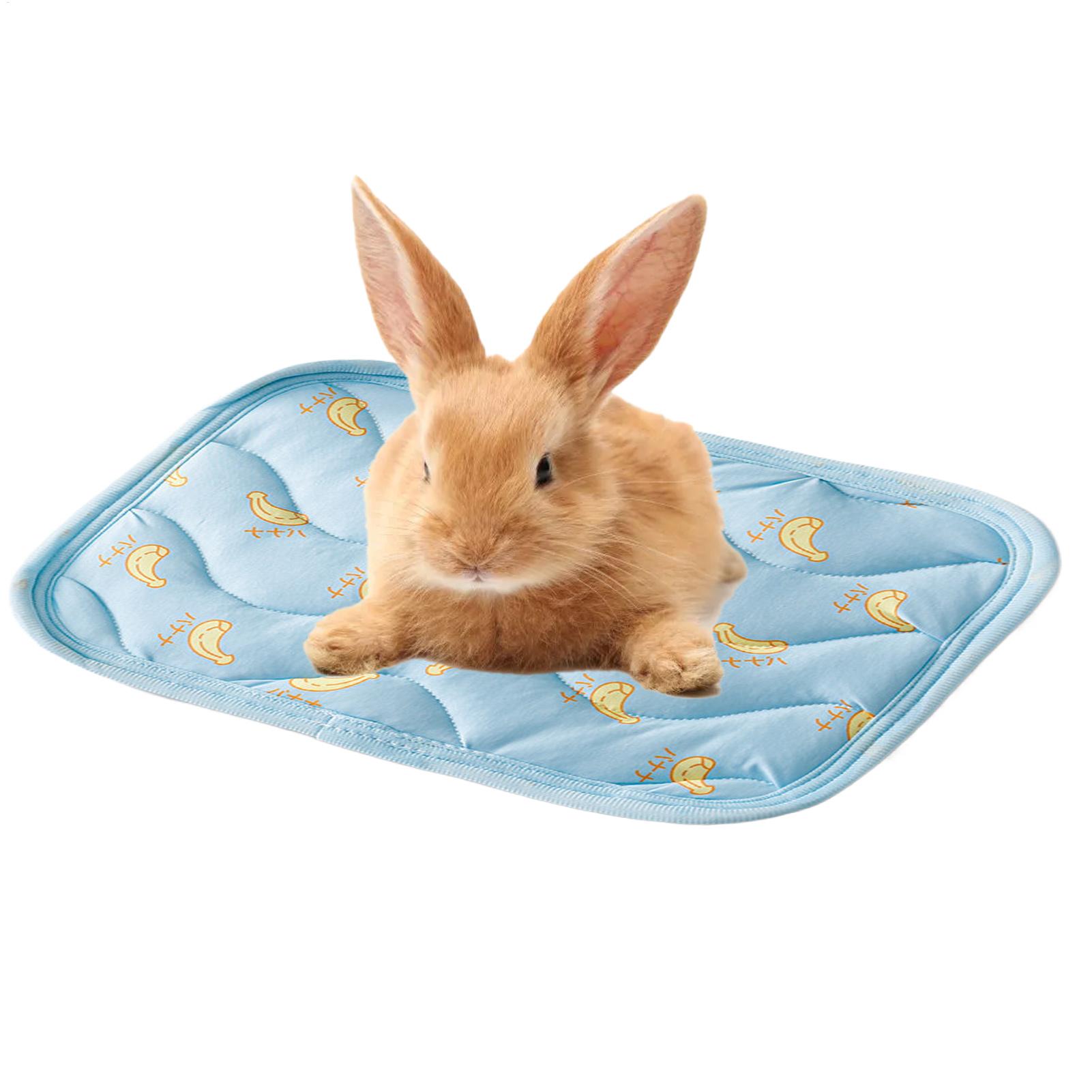 Tappetino Refrigerante Portati - Outdoor Camping Dog Kennel recensione e prezzo